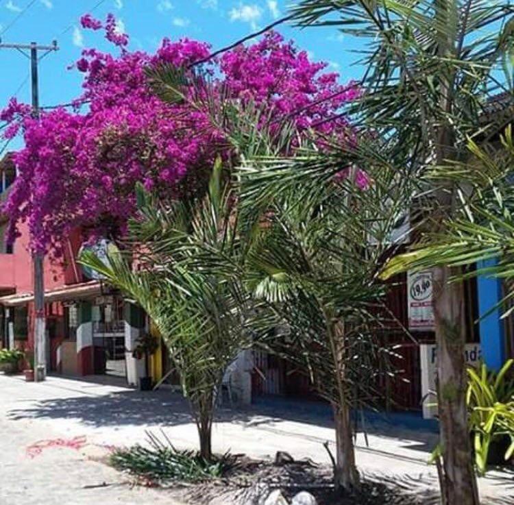 Pousada Estrela Itacaré المظهر الخارجي الصورة